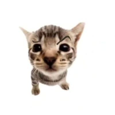 IsaacSak163729's profile picture. ☆♡🤟