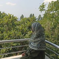 Muallime Hanım (@___ruhurevan) 's Twitter Profile