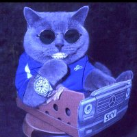Isegrad (@isegrad) 's Twitter Profile Photo Isegrad (@isegrad) 's Twitter Profile Photo
