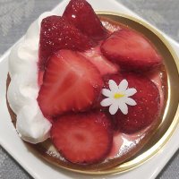 桜弥 (@sakuya_ryubis) 's Twitter Profile
