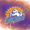 OrlandoHockey's profile picture. Besties with @tblightning ⚡️ & @orlandomagic 🏀