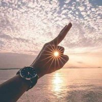 الطائر الذهبي (@ahmedah15564094) 's Twitter Profile