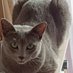 Por Un Mundo Felino Mejor 🌍🐱 (@fernandogo5792) Twitter profile photo Por Un Mundo Felino Mejor 🌍🐱 (@fernandogo5792) Twitter profile photo