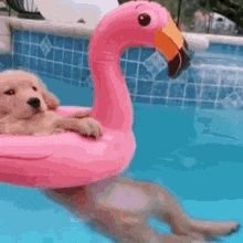 TatjanaD284831's profile picture. 