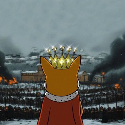 SamdeKeizer's profile picture. Trading, 21Yo