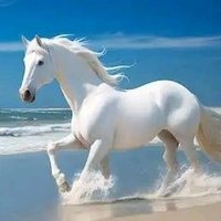 manhot99 (@hassanhamd99329) 's Twitter Profile
