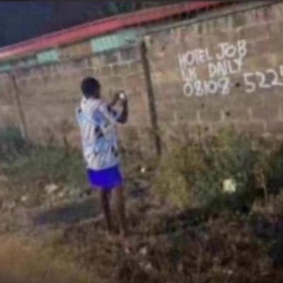 Iam_classic_bee's profile picture. CALM AND SENSITIVE. NFT LOVER 6FR2VJKC