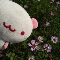 みるみるみるきー (@uiiba8ppjn66088) 's Twitter Profile Photo みるみるみるきー (@uiiba8ppjn66088) 's Twitter Profile Photo