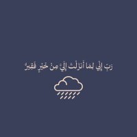 Abo wael (@omarwae14374386) 's Twitter Profile