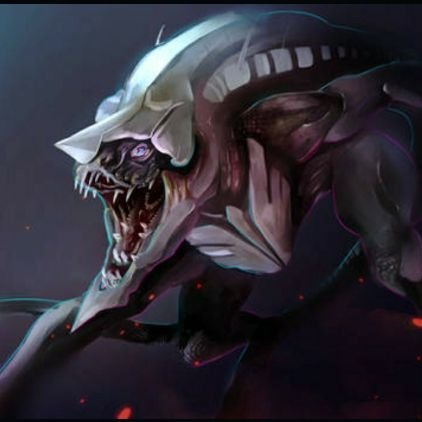 Xpress1488's profile picture. 