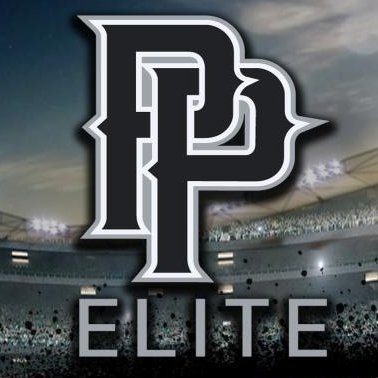 PP Elite Baseball - 14u / 18u - Demarini Factory Team . email ttoney@bsnsports.com -