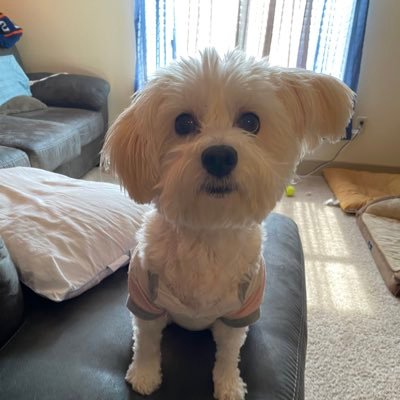 tru_sagittarian's profile picture. Baseball is LIFE ⚾️ #Relentless~ Ride or Die H-Town Astros Fan🙅‍♀️ Concert Enthusiast 🎸🤘🏻~Proud 🏳️‍🌈🏳️‍🌈 Mexican Liberal 🇲🇽🇲🇽🇲🇽 ~ Go Texans ! 🏈