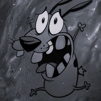 curiosibuck's profile picture. 🎮—📺—📽️