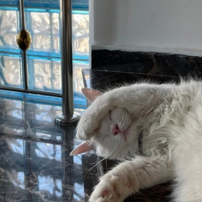 FirasUsd999's profile picture. 