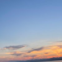 ice (@ice1551488) 's Twitter Profile Photo