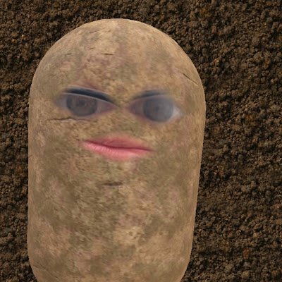 Puhtaytow's profile picture. 