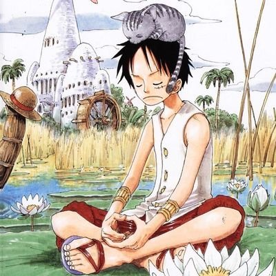 danielr4s's profile picture. 