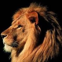 Solid Core Labs (@solidcorelabs) 's Twitter Profile