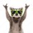 Mr Faycal avatar