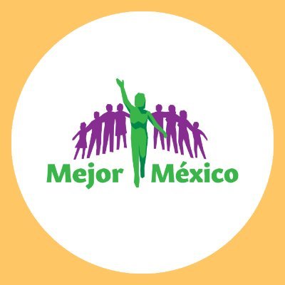 Somos una Asociación Civil apartidista y sin fines de lucro cuya misión es contribuir a la construcción de un país sin corrupción.