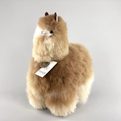 GiulianaPavlic1's profile picture. Boss 🥃, Outlier👷🏻‍♀️ Big Player 👩‍💻 , Trilíngue 🇧🇷🇬🇧🇺🇲🇷🇺, Autodidata, and that’s all.