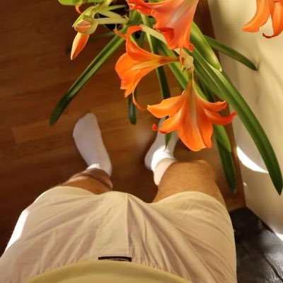 japhet19999's profile picture. 🔞🔥😈 The only impossible thing is what you don't try 🍀 🇲🇽🇺🇸🇸🇾