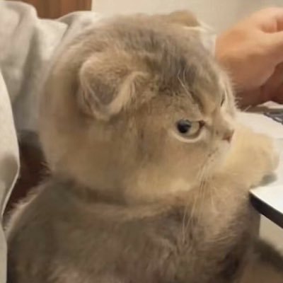 Hi :3 Im 25 | MDNI | 🇨🇦 | priv is @chickinsandwic