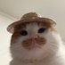 Ayomide_central | 𝔽rAI (@mide_central) Twitter profile photo Ayomide_central | 𝔽rAI (@mide_central) Twitter profile photo