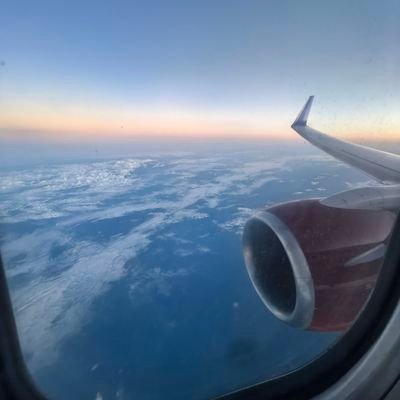 therealterralee's profile picture. 