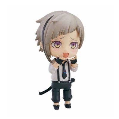notweretiger's profile picture. parody acc ꉂ(˵˃ ᗜ ˂˵) // admin is 19