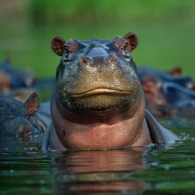 myceliup's profile picture. 