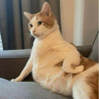 posalover's profile picture. this is where I disappear