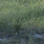 sti18476's profile picture. 