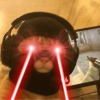 VinceBeenFunded (@btcvince) 's Twitter Profile Photo VinceBeenFunded (@btcvince) 's Twitter Profile Photo
