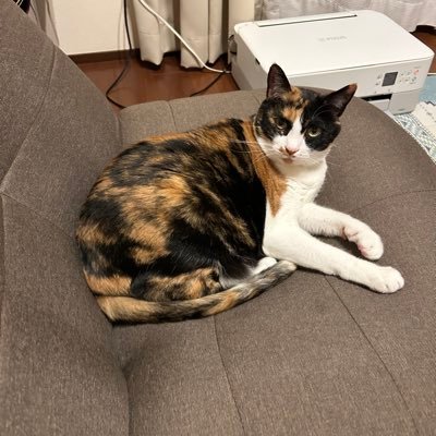 Ss6MeBTfbB5866's profile picture. 未成年