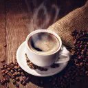 Metacat161528's profile picture. 