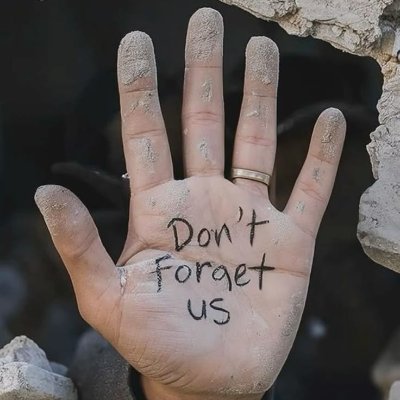 gazawitness1's profile picture. Highlighting the growing attention and concern of the American public regarding the humanitarian situation in Gaza. This is what Americans see and demand