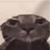 noisyae (@luisart34047333) Twitter profile photo noisyae (@luisart34047333) Twitter profile photo