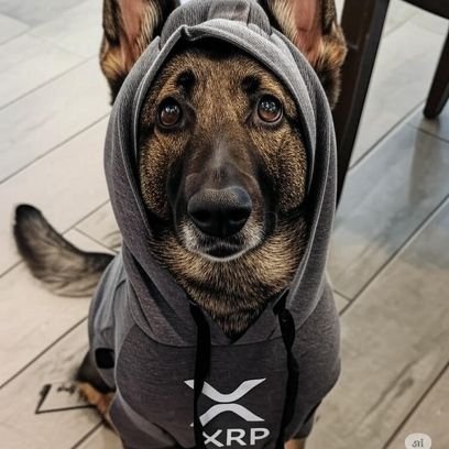 SoupSandweech's profile picture. Contrarian.  Founder of BlockWealth Strategies (in development). DoD Meteorologist.