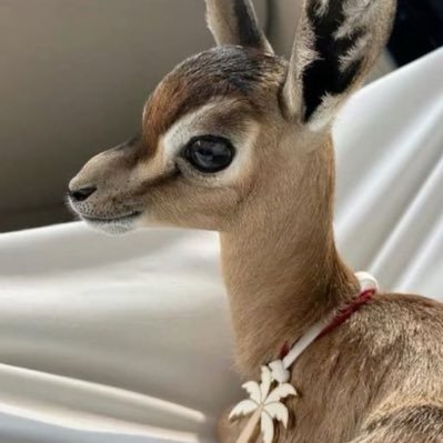 XRM95___'s profile picture. .