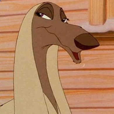22 | bi | furry stuff | proship, shedtwt, zoos dni ✧˖°