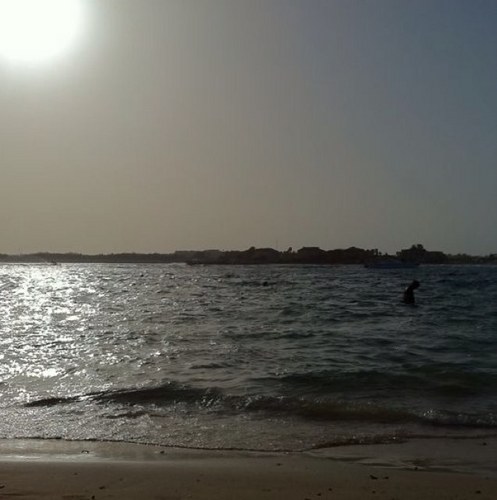 najmalotman's profile picture. 