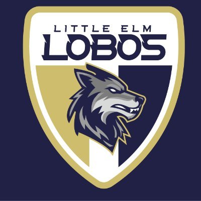 Lady Lobo Soccer Profile