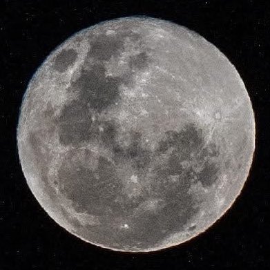 tradedbylunar's profile picture. 