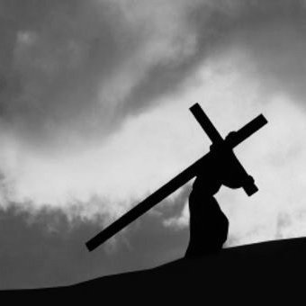 BraydenMcC53203's profile picture. 