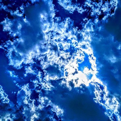 NormaHead71435's profile picture. 