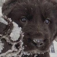 slnthll (@solevaki) 's Twitter Profile