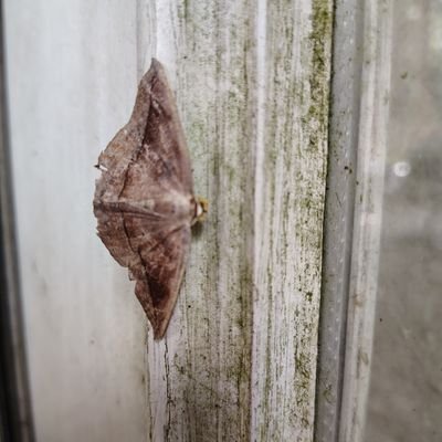 b9cancer's profile picture. performative male who can't perform