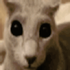 manyamongstthee's profile picture. 