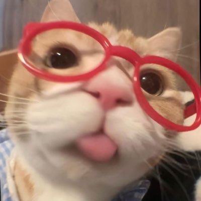 cxpr1c0rnn_'s profile picture. we let you know ( 🐺 ) #lykn #tlefirstone #kengnamping #nuthong #poohpavel